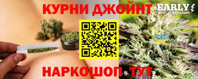 стафф Моздок
