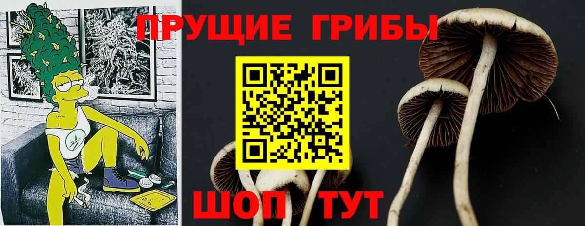 Псилоцибиновые грибы MAGIC MUSHROOMS  Вход с VPN  Галлюциногенные грибы MAGIC MUSHROOMS  Южноуральск 
